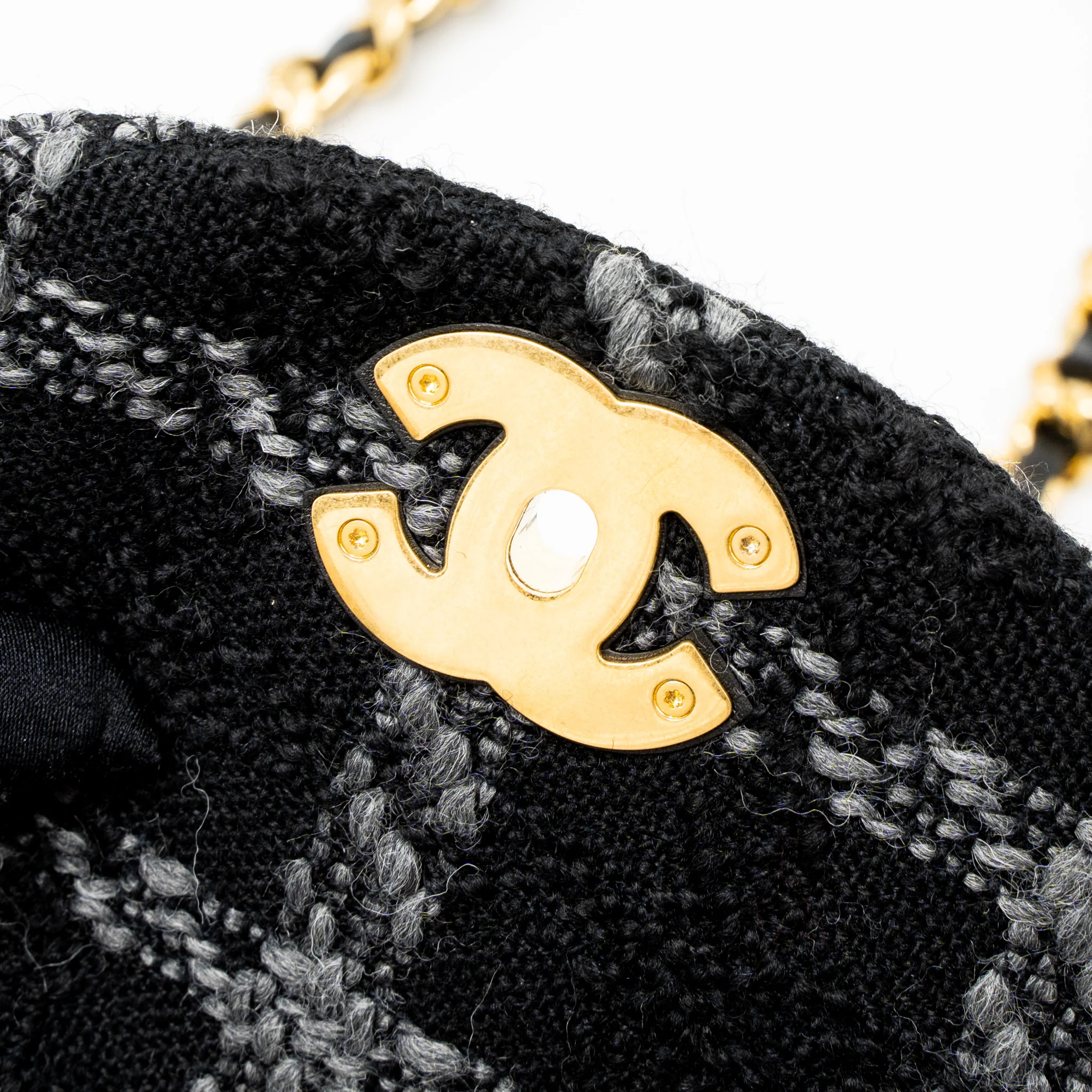 Chanel Duma Backpack Tweed Multicoloured Brushed GHW (Microchip) - Image 9