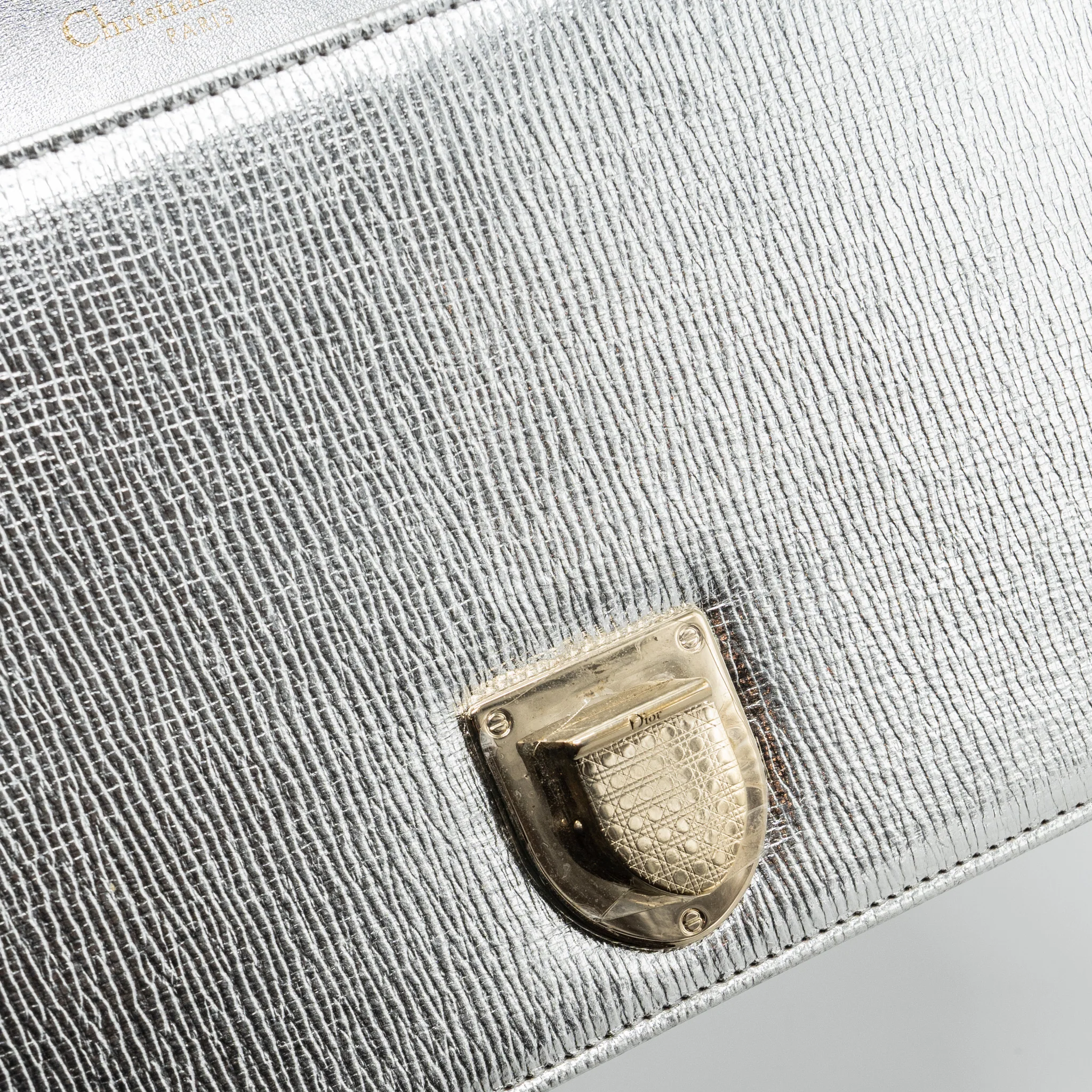 Dior Diorama Bag Goatskin Metallic Silver LGHW - Image 13
