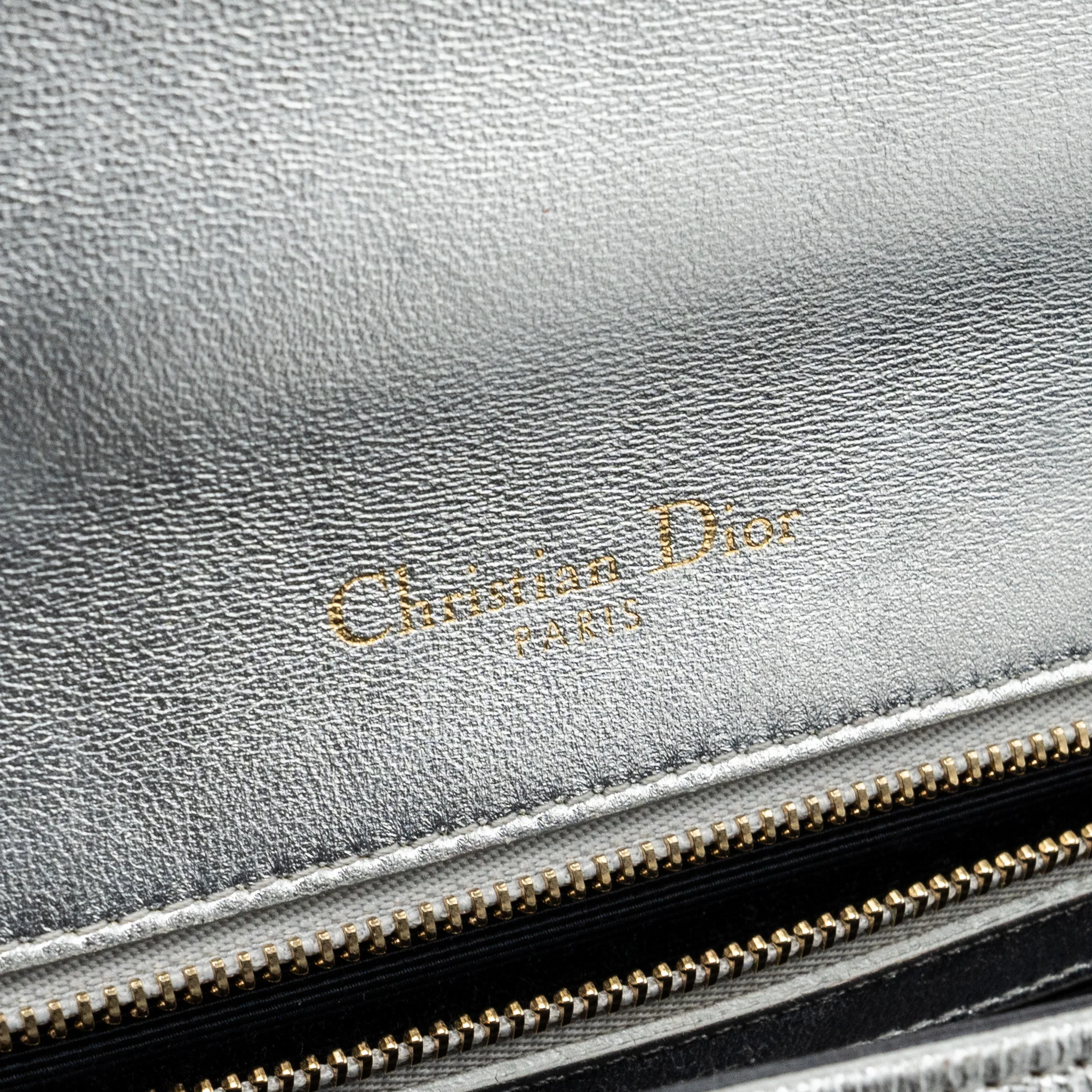 Dior Diorama Bag Goatskin Metallic Silver LGHW - Image 14