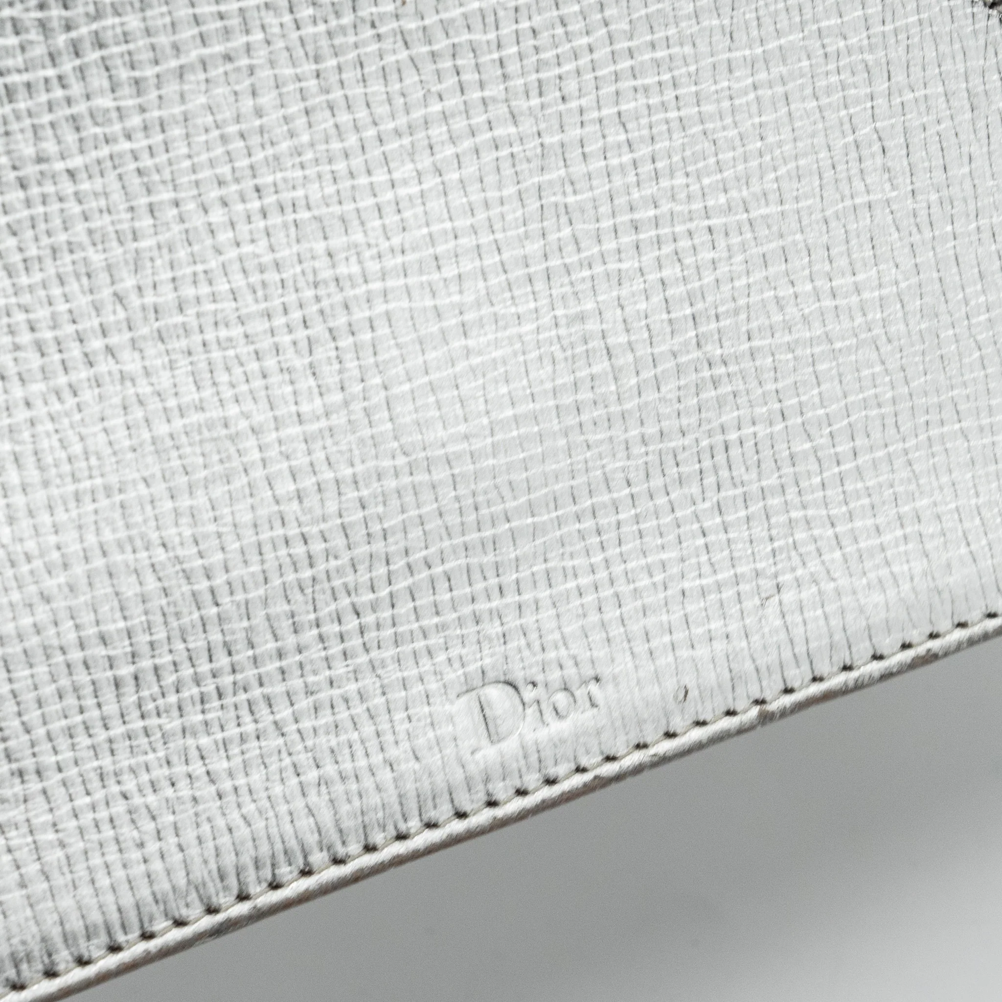 Dior Diorama Bag Goatskin Metallic Silver LGHW - Image 16