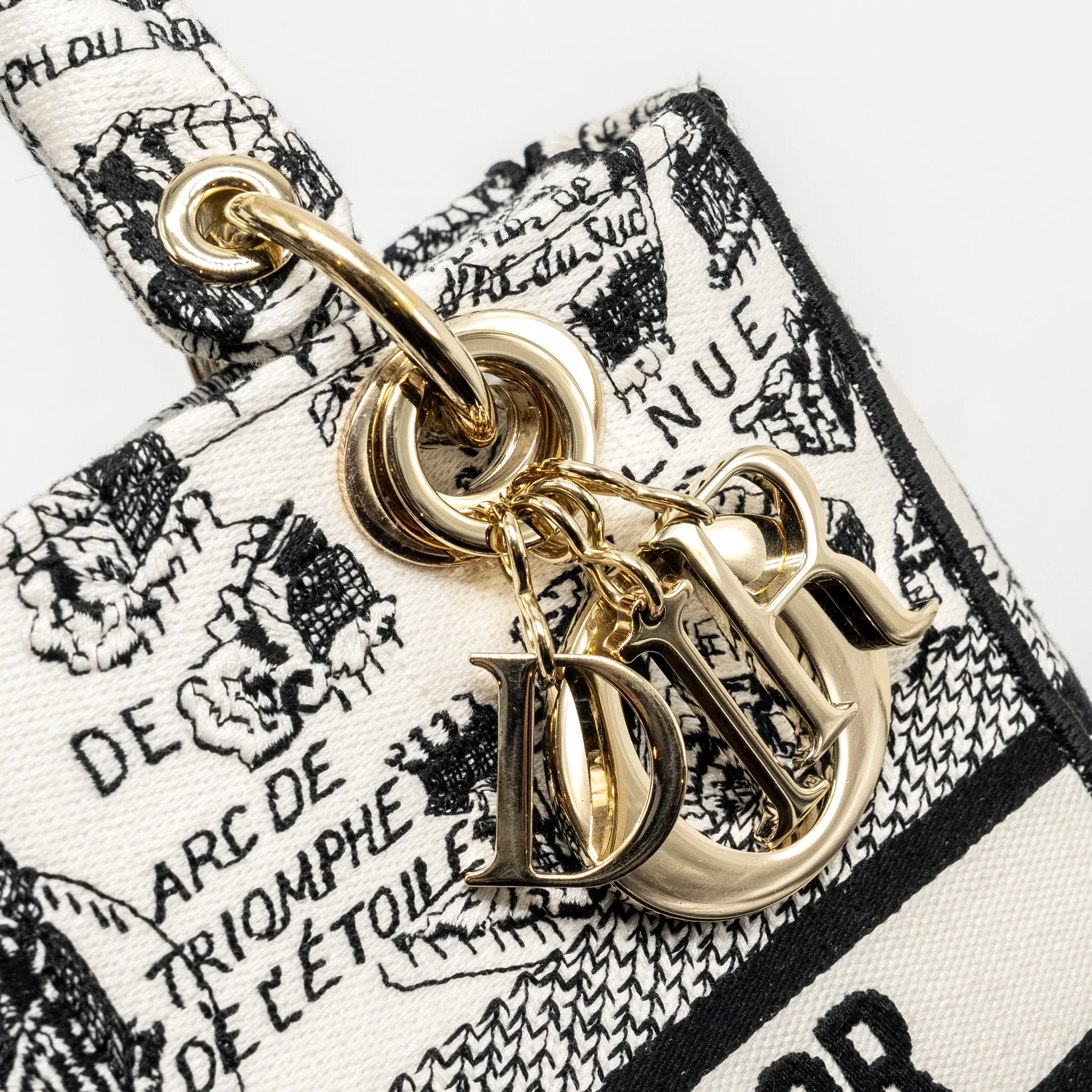 Dior Medium Lady D-lite Bag Plan De Paris Embroidery Canvas Black/White LGHW - Image 13