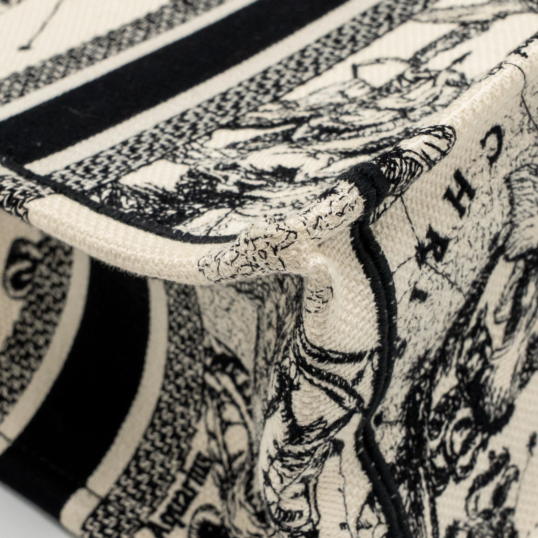 Dior Small Dior Book Tote Dior Zodiac Embroidery Canvas Latte/Black - Image 9