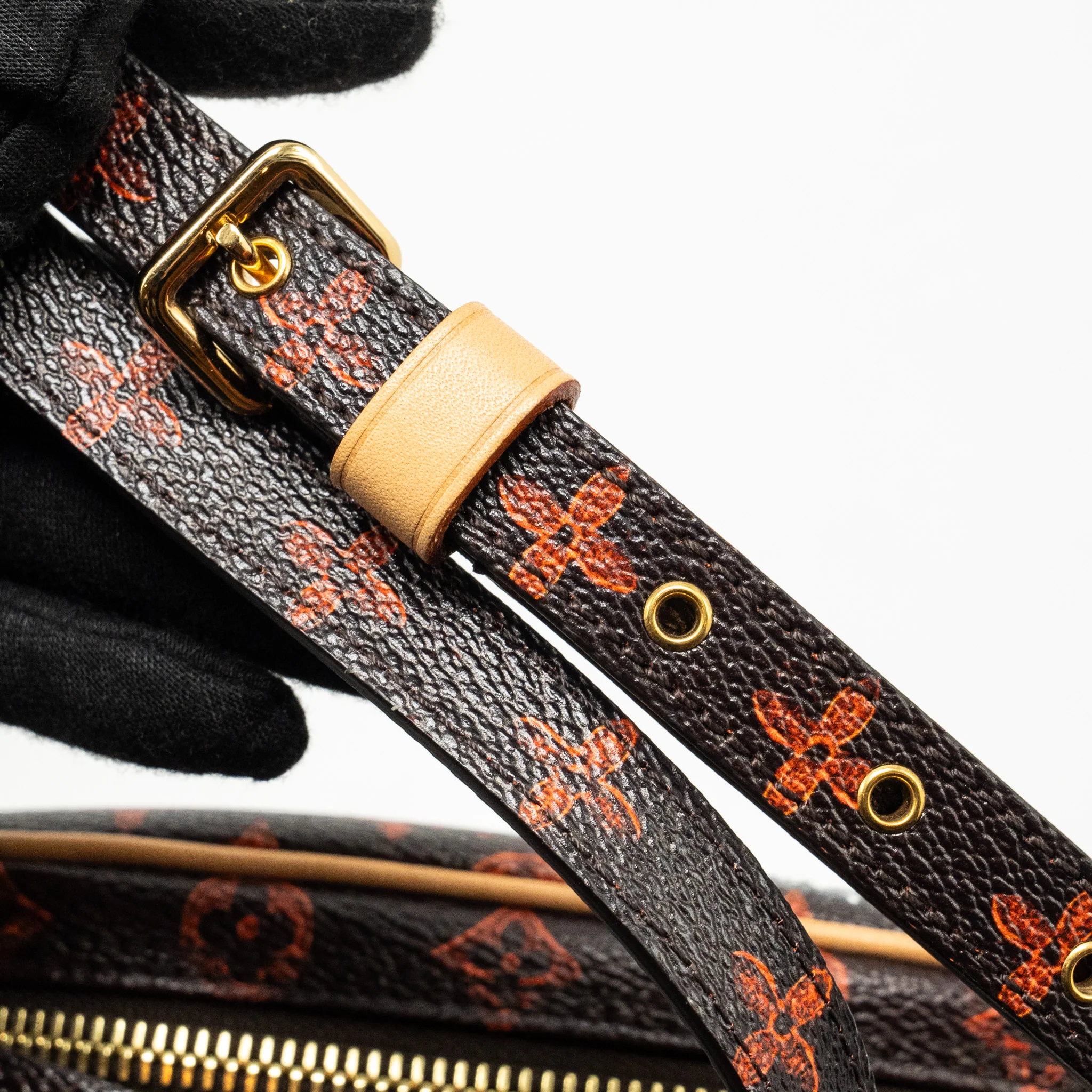 Louis Vuitton Catogram Paname Set Monogram Canvas Multicolour GHW - Image 15