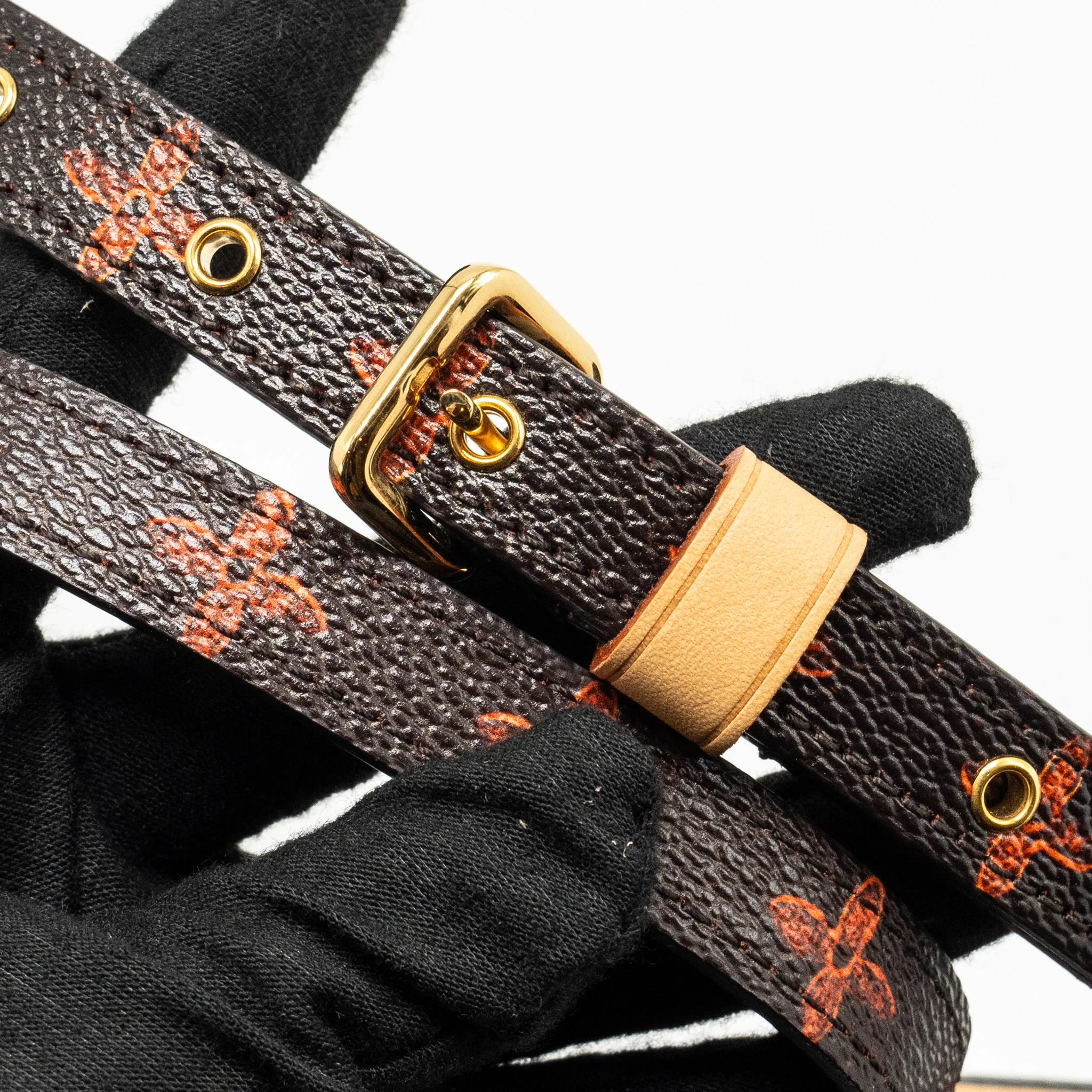 Louis Vuitton Catogram Paname Set Monogram Canvas Multicolour GHW - Image 21