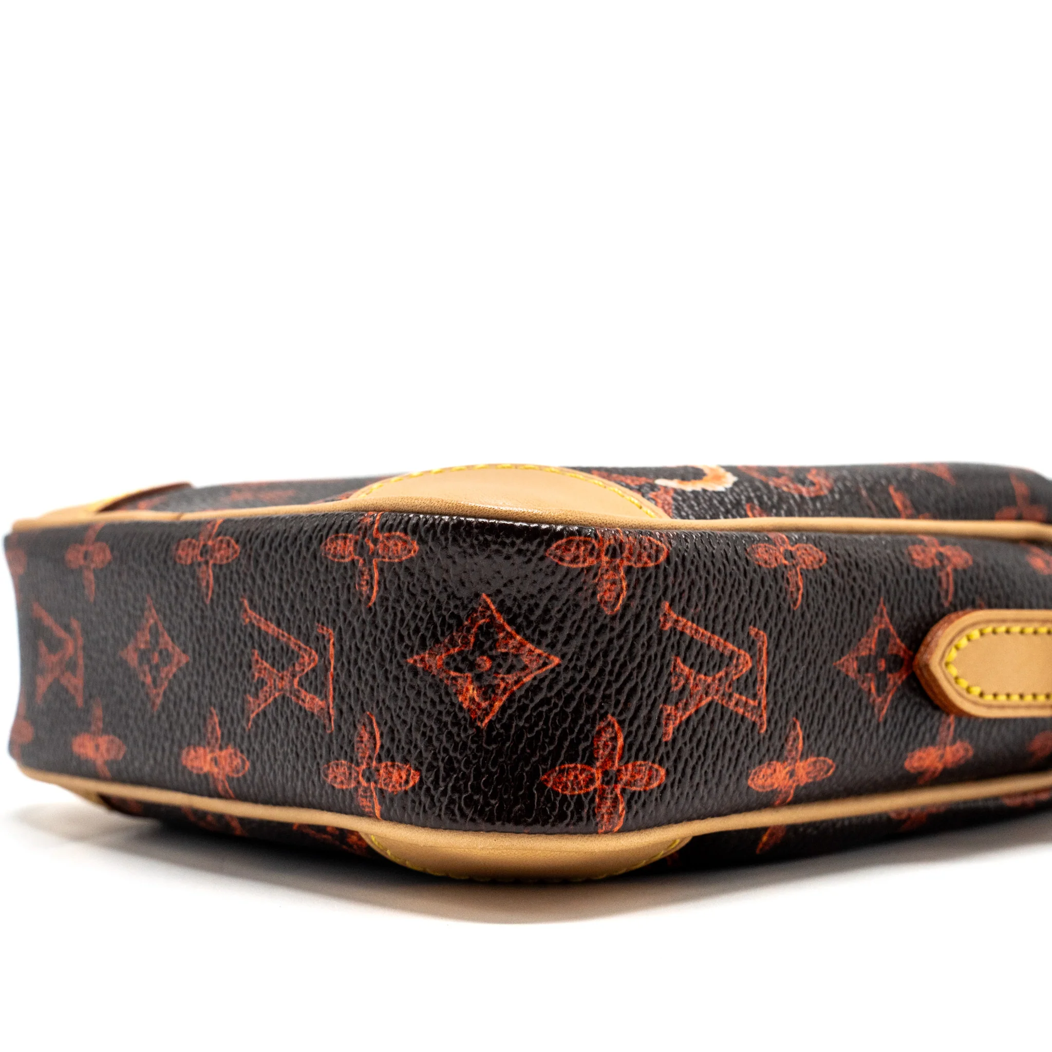 Louis Vuitton Catogram Paname Set Monogram Canvas Multicolour GHW - Image 29