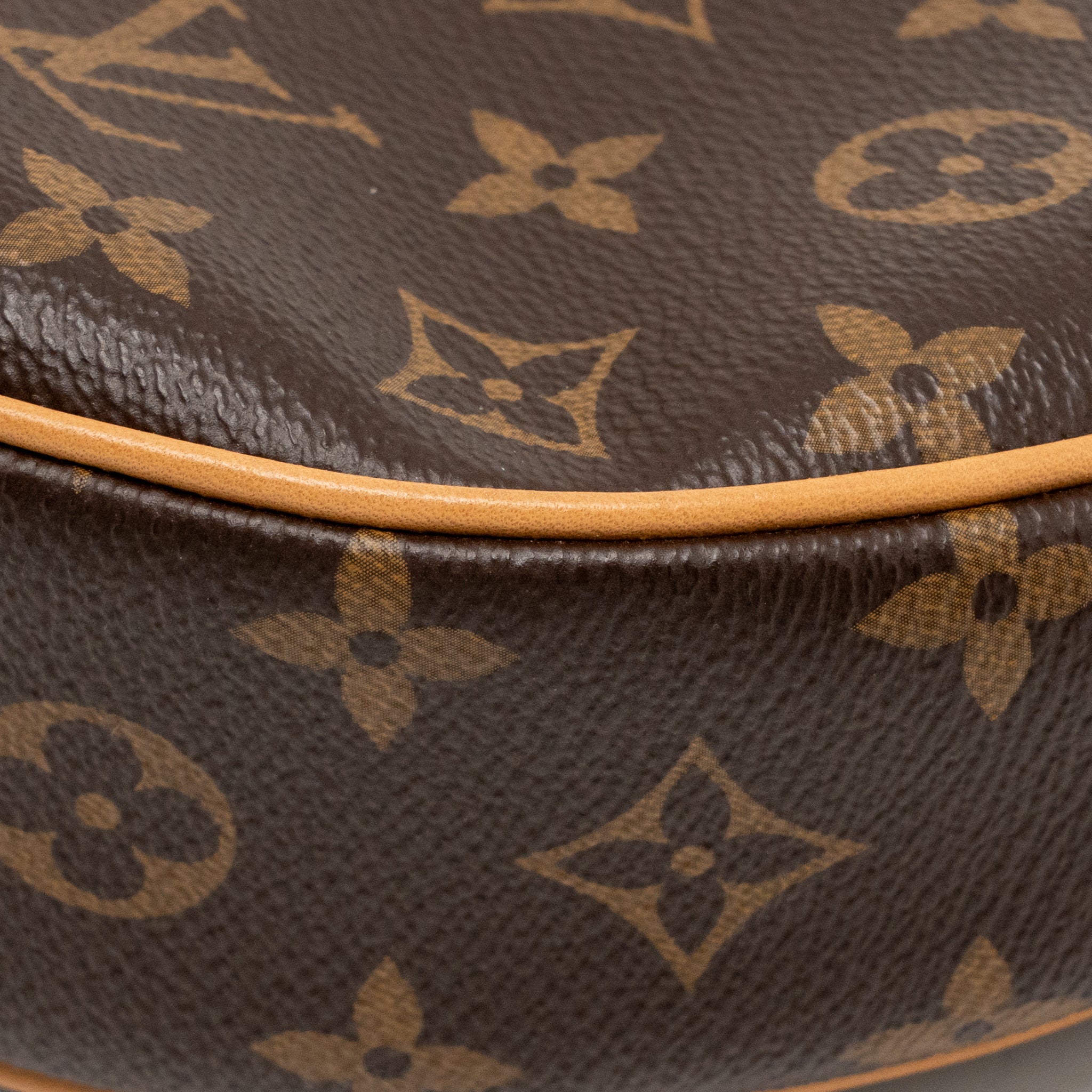 Louis Vuitton loop bag monogram canvas GHW - Image 10