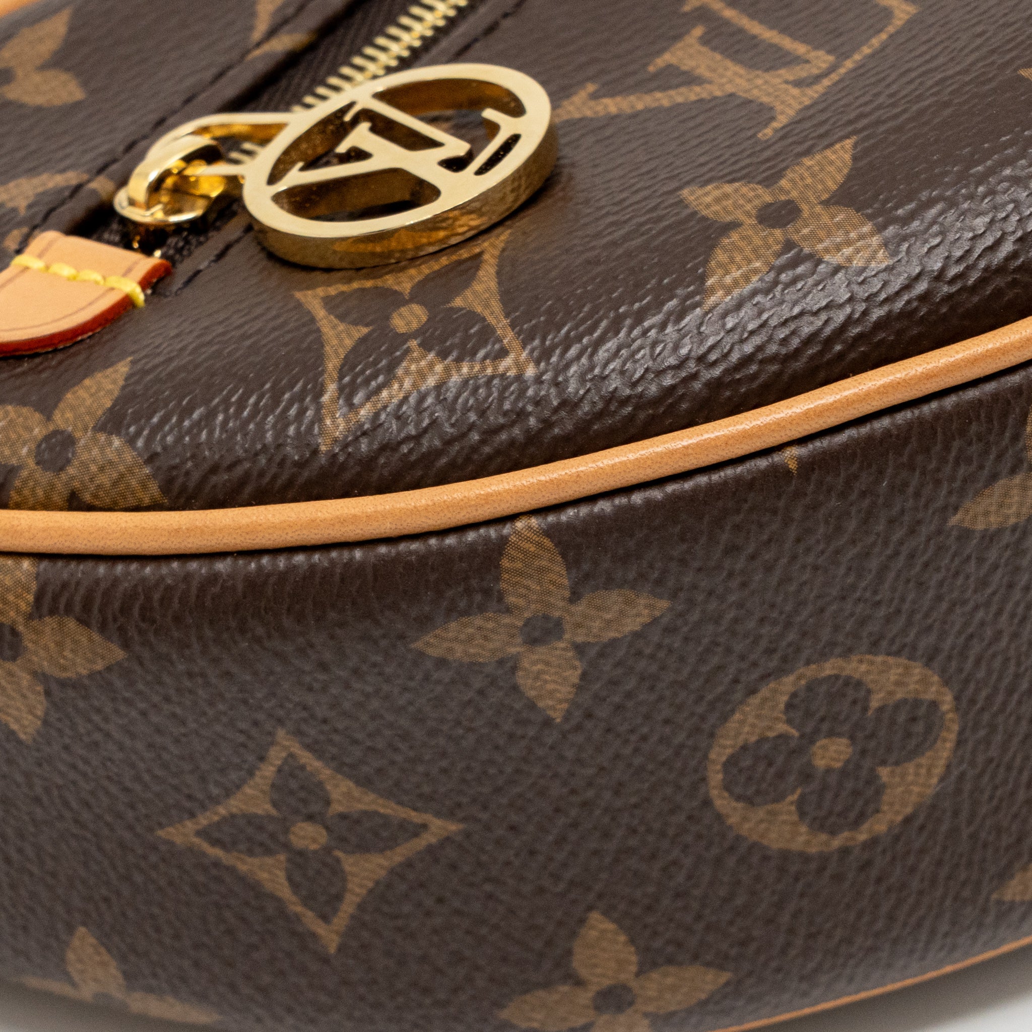 Louis Vuitton loop bag monogram canvas GHW - Image 7