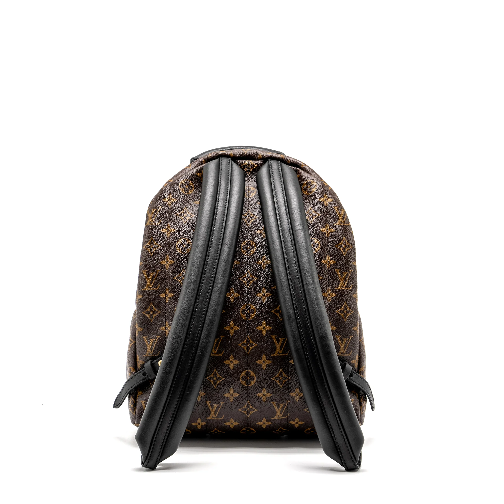 Louis Vuitton Palm Spring Backpack MM Monogram Canvas - Image 2