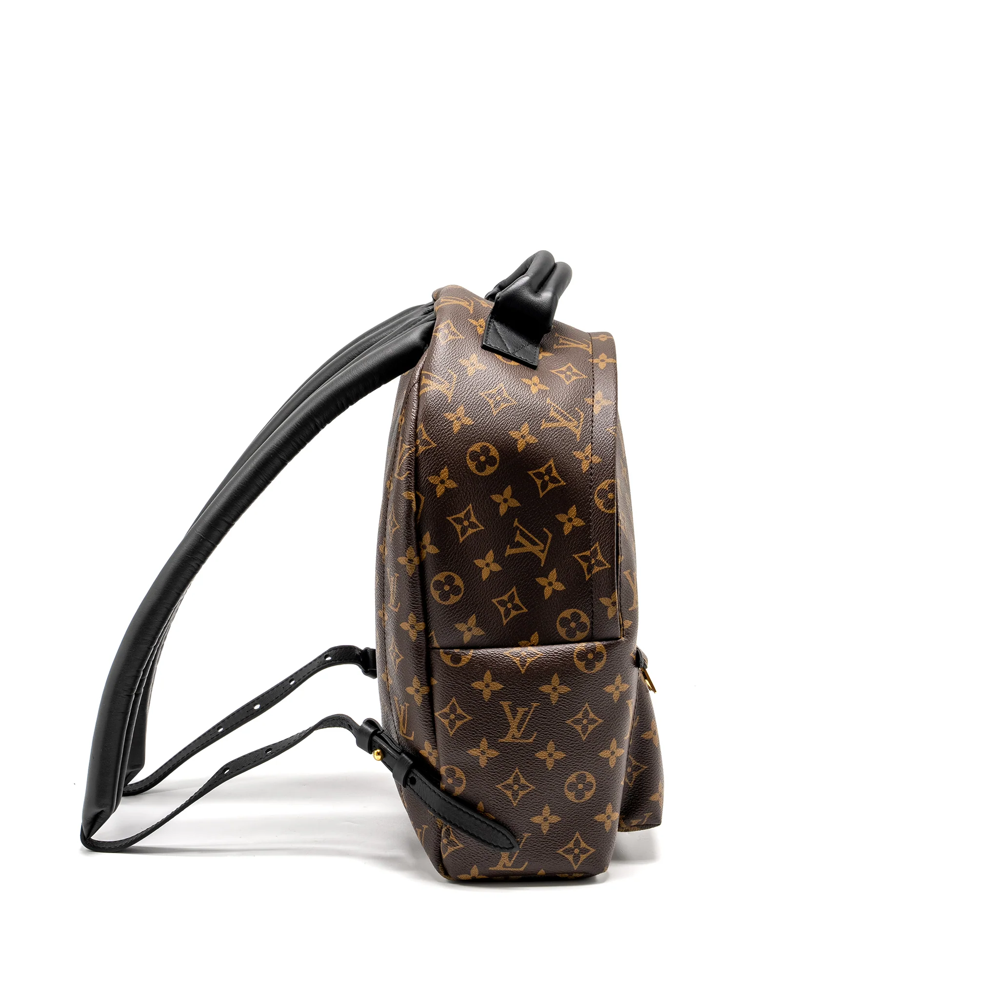 Louis Vuitton Palm Spring Backpack MM Monogram Canvas - Image 3
