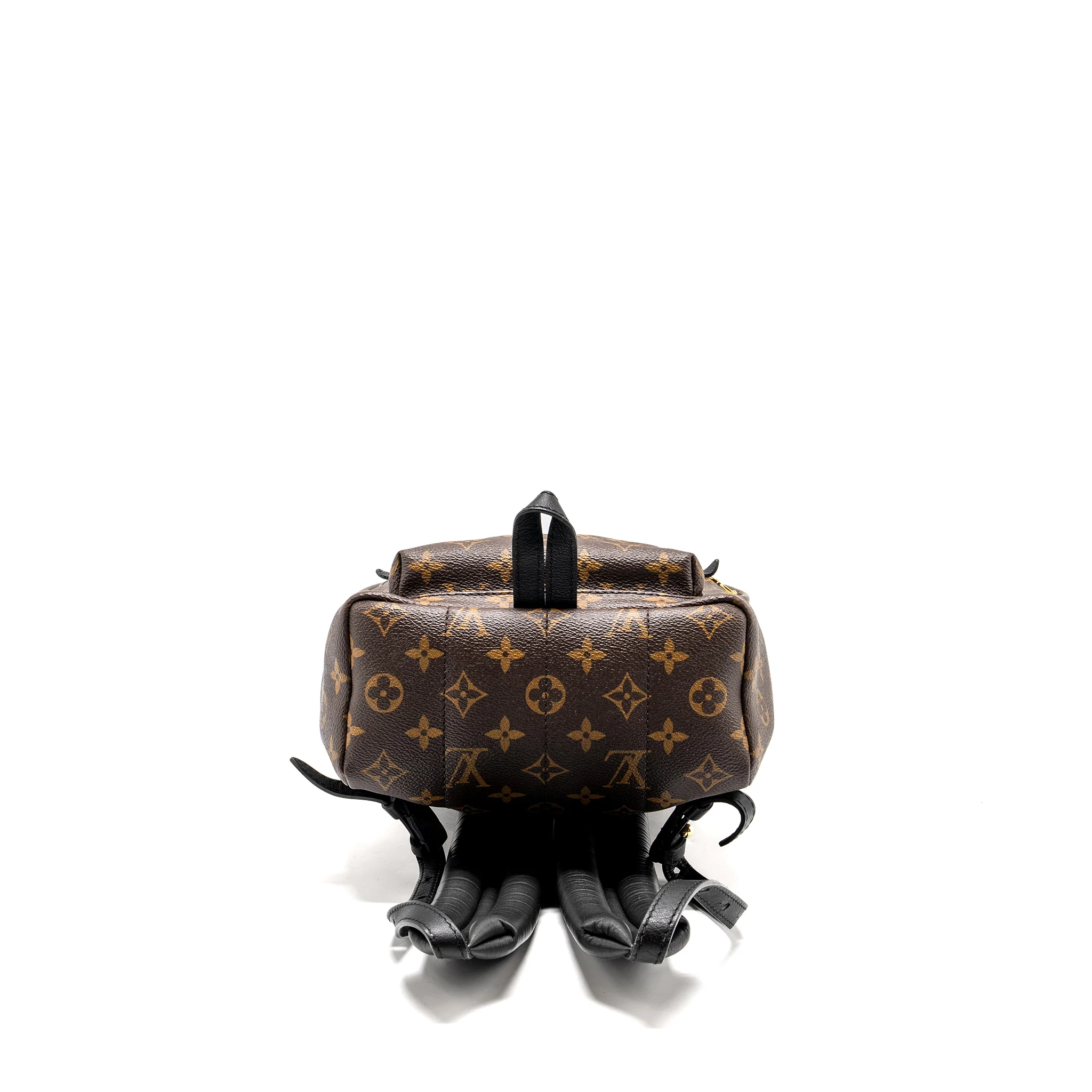 LOUIS VUITTON Palm Spring PM Backpack Monogram Canvas GHW - Image 5