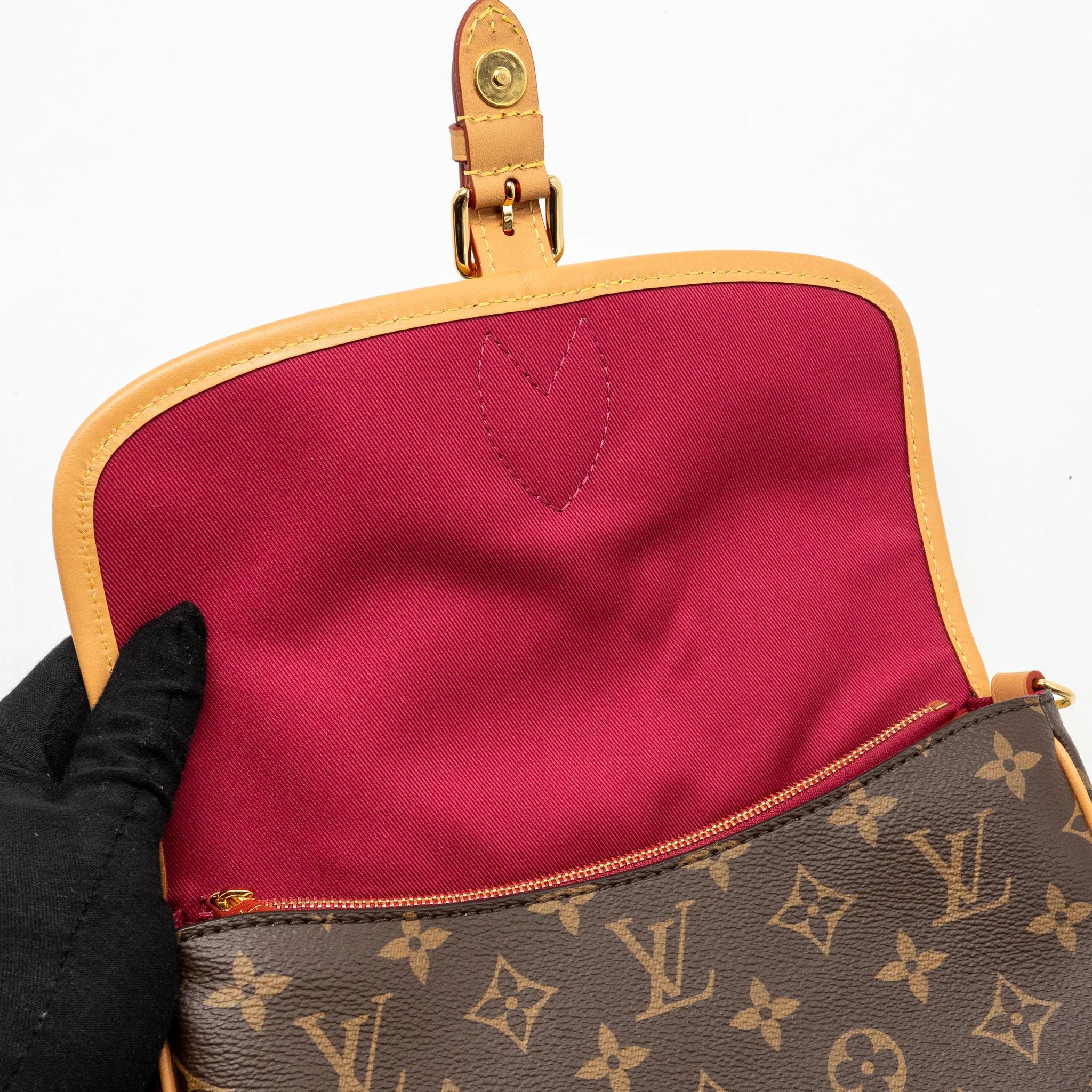 Louis Vuitton Diane bag monogram canvas pink strap GHW - Image 13
