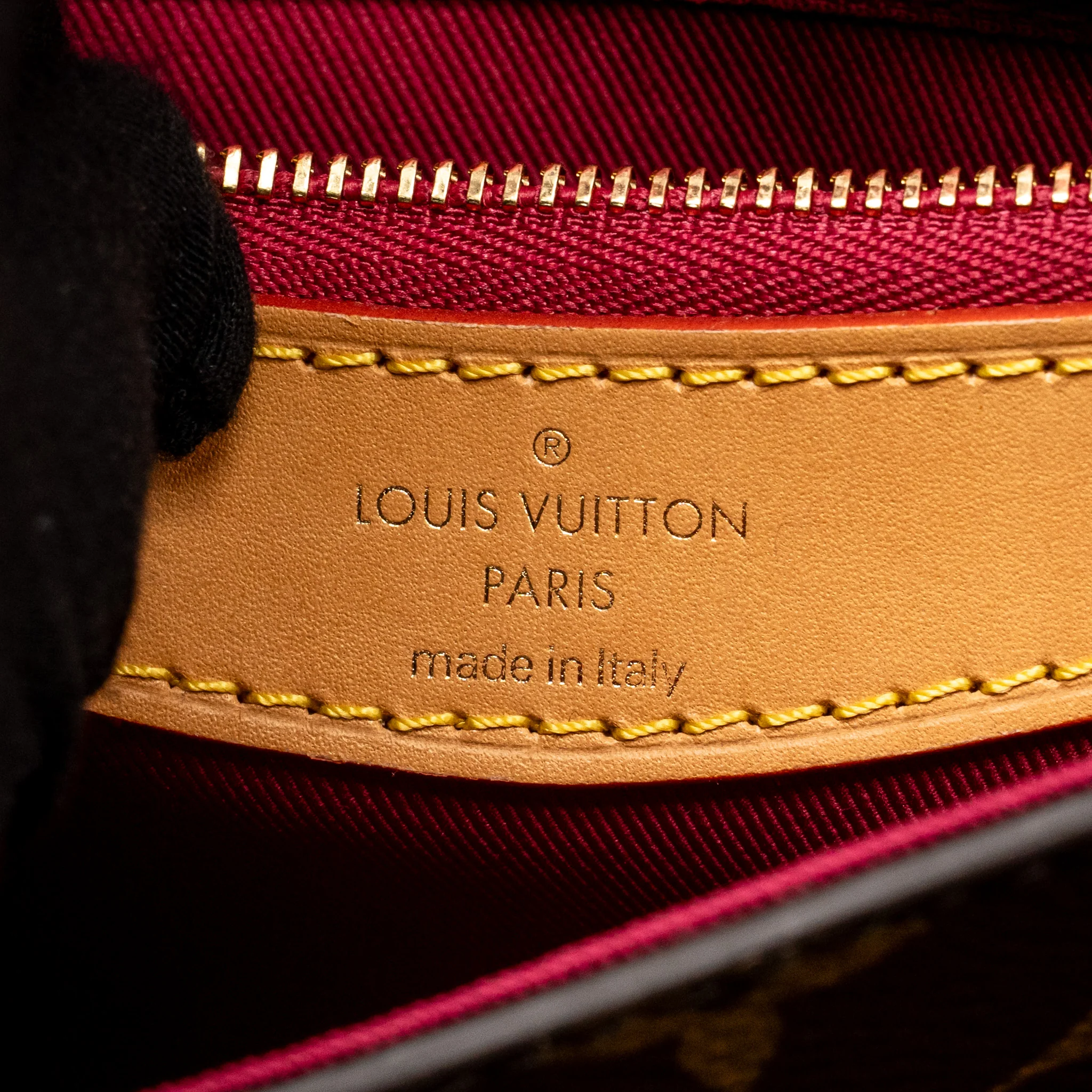 Louis Vuitton Diane bag monogram canvas pink strap GHW - Image 15