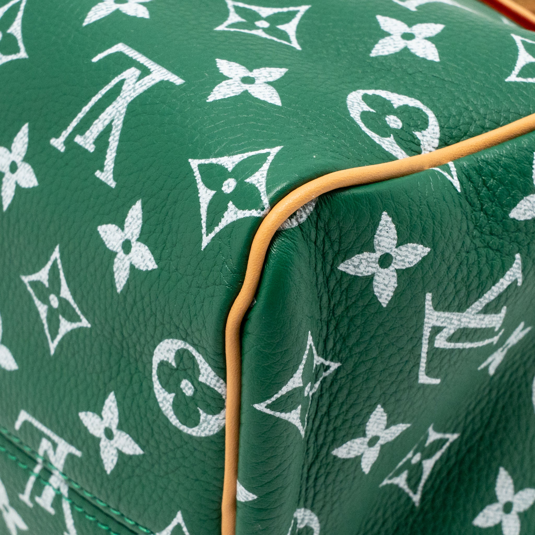 Louis Vuitton Speedy P9 Bandouliere 25 Soft Calfskin Green GHW - Image 10