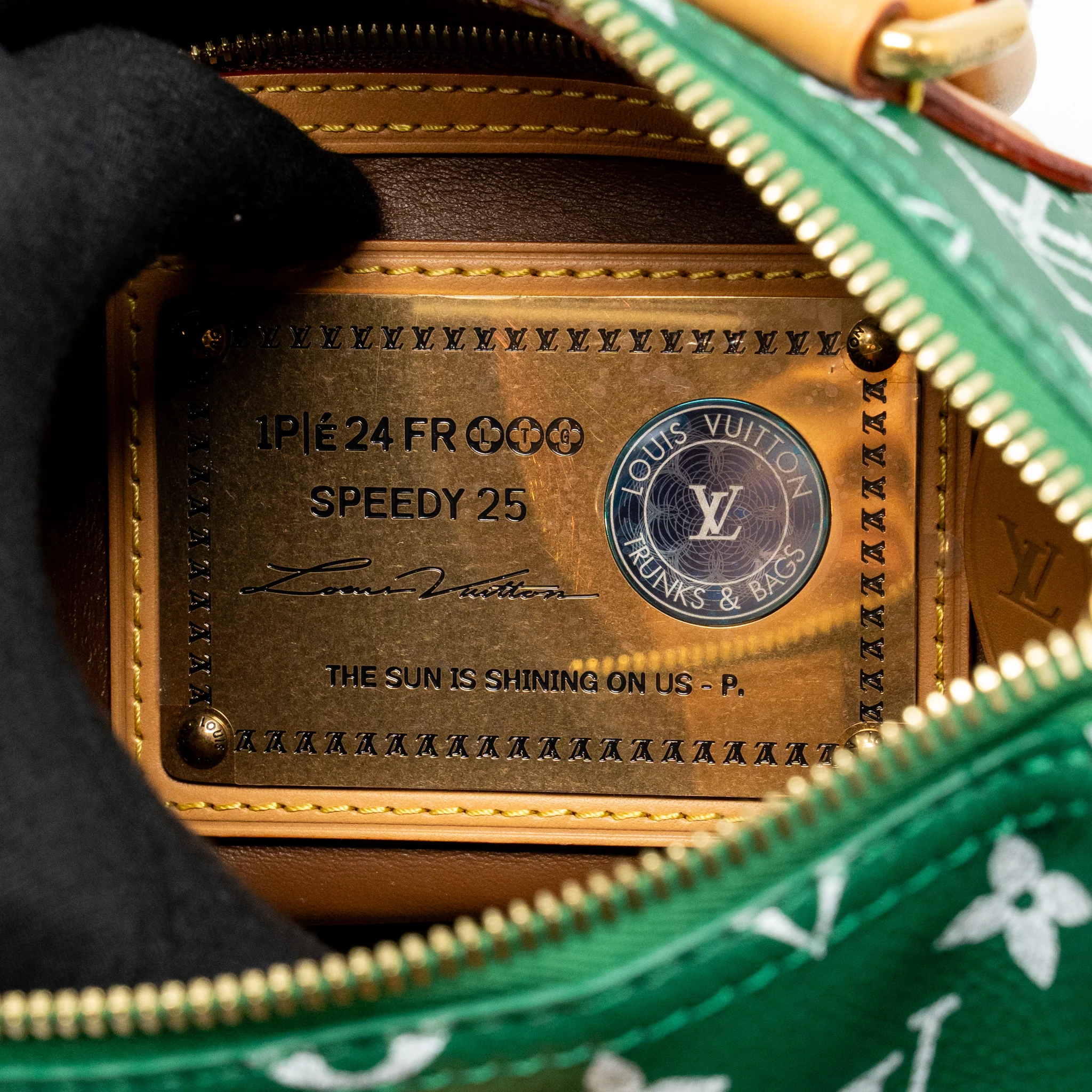 Louis Vuitton Speedy P9 Bandouliere 25 Soft Calfskin Green GHW - Image 14